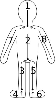 Schema numbered to place the bones.
